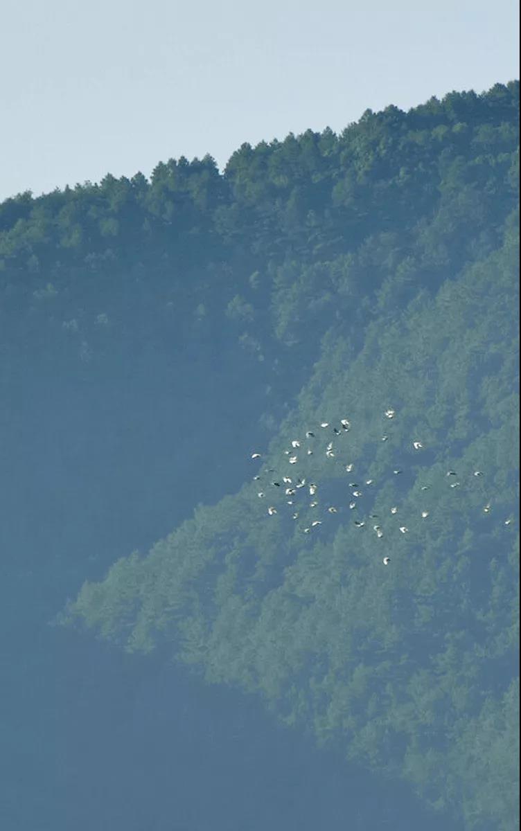 1598082198360358.jpg