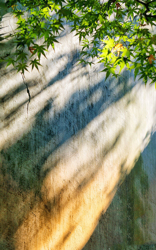 1598082198910269.png